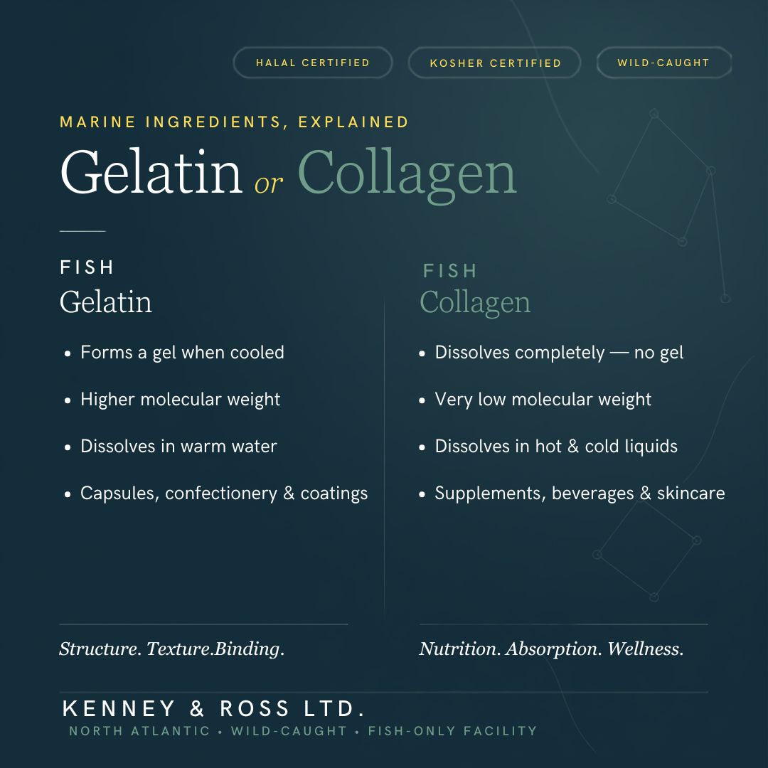 Fish gelatin or fish collagen