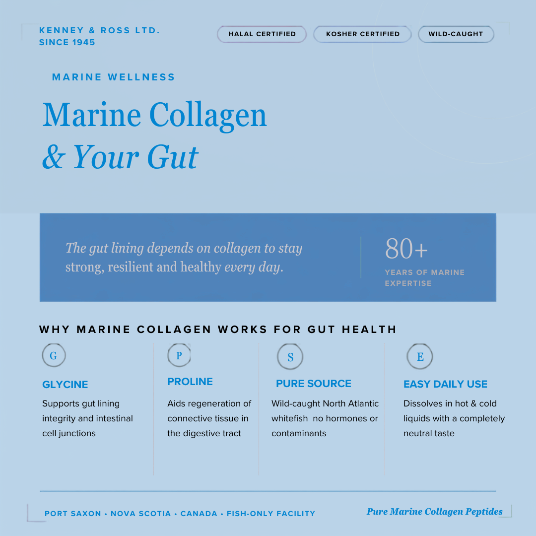Marine Collagen & Your Gut